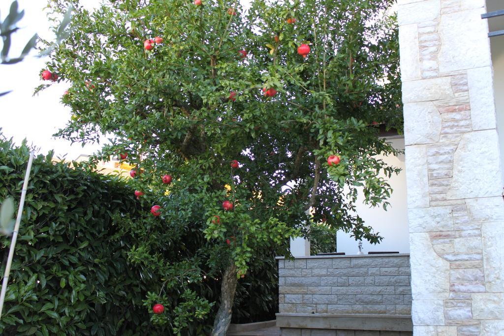 Nena Apartment Pula